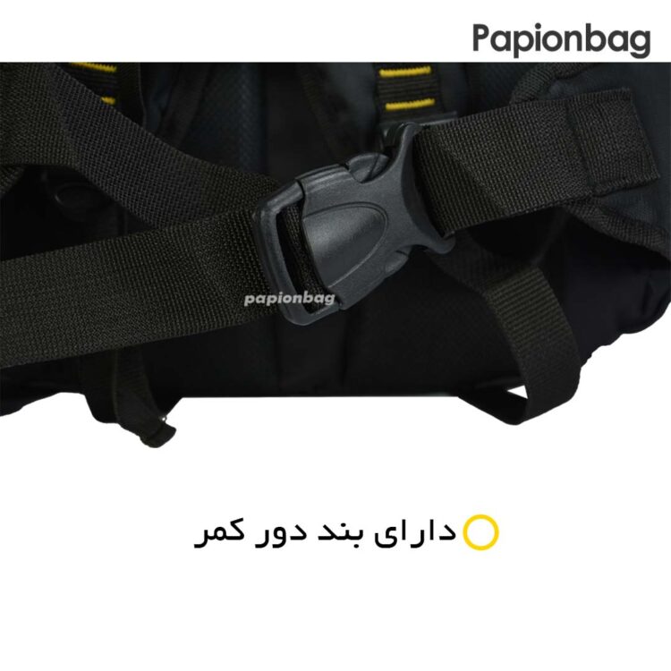 کوله پشتی کوهنوردی و سفر برزنتی cat کد490 - Image 5