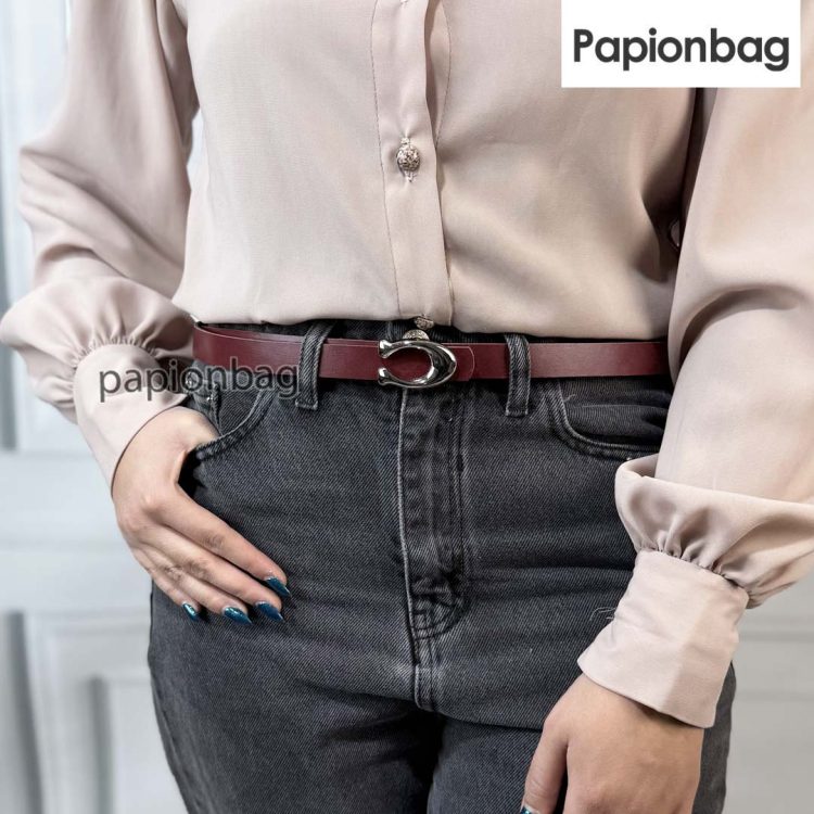 کمربند زنانه چرمی سگک نقره ای کد822 - Image 5