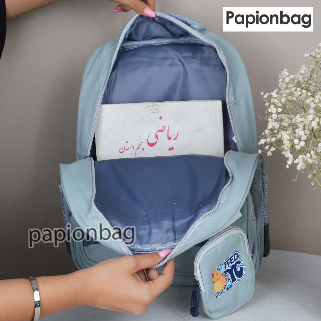 فضای کافی برای کتاب درسی کیف مدرسه پسرانه مدل کاپیبارا کد 1266